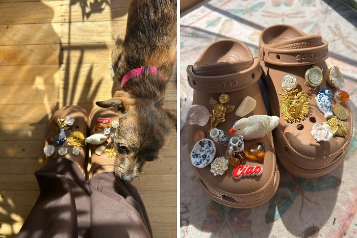 Creative people turned trash into unique Croc charms. A dog looks at feet wearing Crocs with various artistic charms.