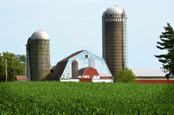 A farm with a red and white barn, two silos, and a green field of crops under a blue sky, ideal for living on a farm.