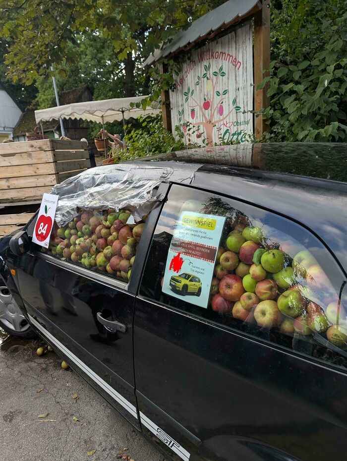 A black car overflowing with apples, a common sight when you live on a farm. This won't make sense to city kids.