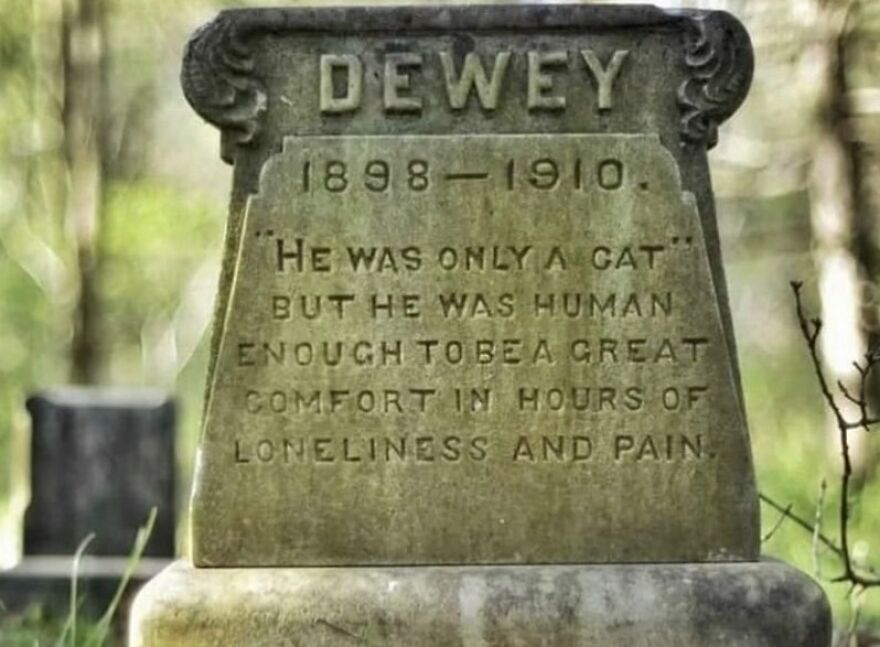 A tombstone for a cat named Dewey (1898-1910) reads, 'He was only a cat but he was human enough...' Fascinating photo offering history.