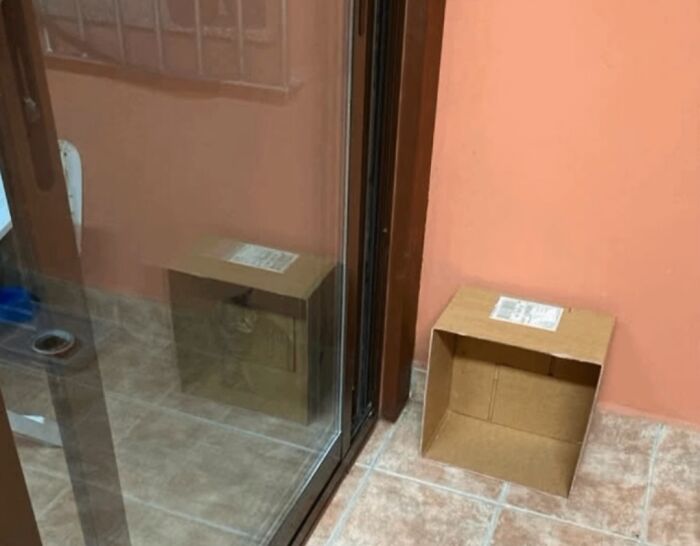 Empty cardboard box placed near glass door reflecting a confusing scene that looks like a glitch in real life.