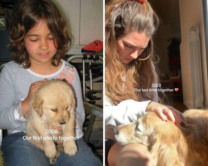 A young girl holding a puppy in 2008 and an adult woman petting an older dog in 2022. Pets who have grown up alongside their owners.