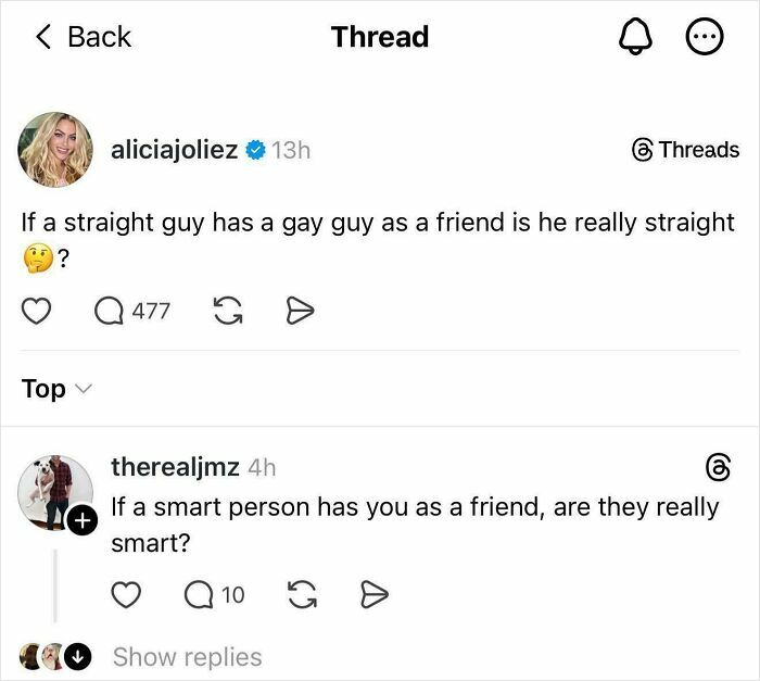 A social media screenshot showing a thread where a user delivers an epic burn, demonstrating witty insults.