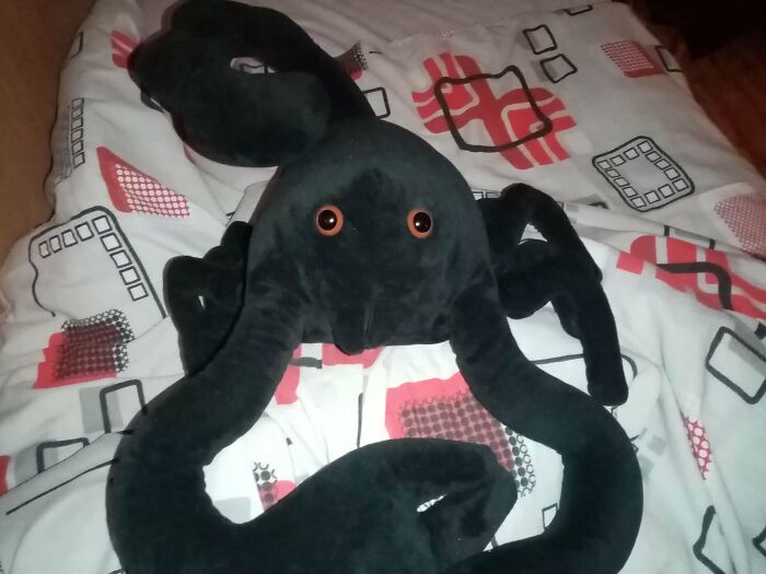 Black, multi-limbed plush toy with orange eyes, typical of unexpected items ordered from Temu or AliExpress.
