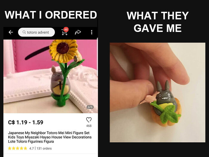 Disappointing Totoro figure received. A lesson learnt from ordering from Temu or AliExpress.