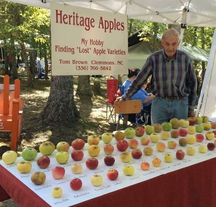 Man next to a table of heritage apples outdoors with a sign about saving apple varieties and a devil sunrise theme.