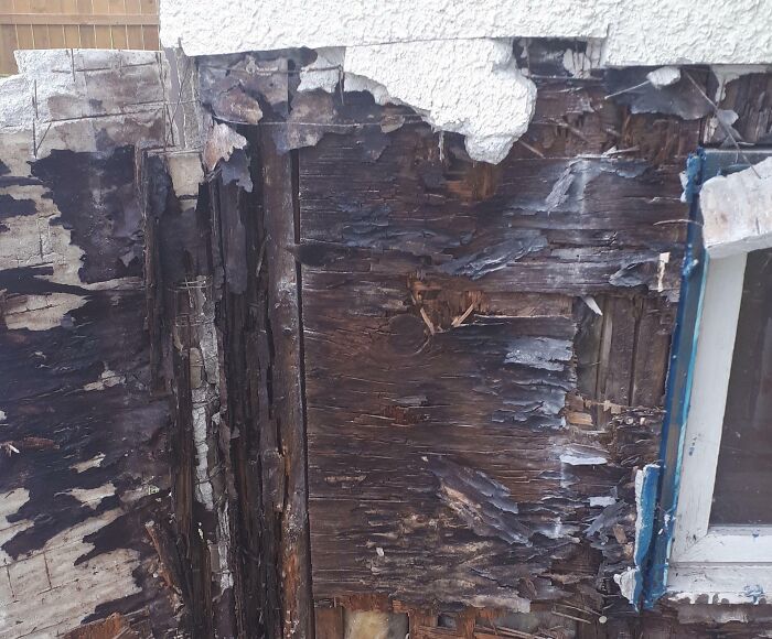 Severe wood rot and peeling paint on an exterior wall, exposing damaged concrete. A prime example of home improvement fails.