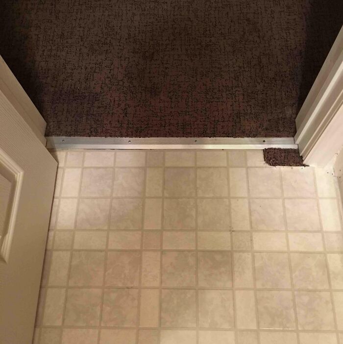 An overhead view of a home improvement fail: concrete overflowed from the toilet onto tiled and carpeted floors.