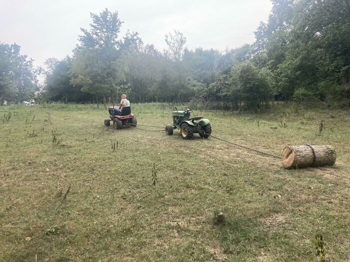 A person on a red tractor and a green tractor pulling a large log with chains across a grassy farm field.