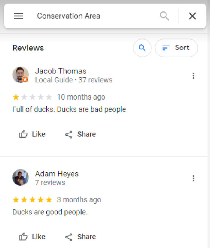 Screenshot of humorous reviews for a Conservation Area. One calls it a "huge disappointment" due to "bad ducks", another praises "good ducks."