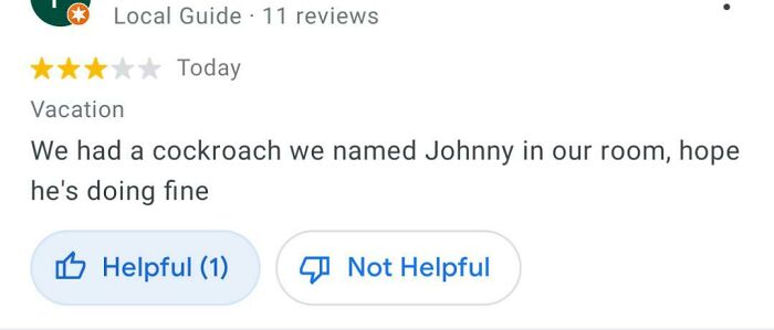 A hilariously honest review about a cockroach in a hotel room, a huge disappointment. It received 3 stars and 1 helpful vote.