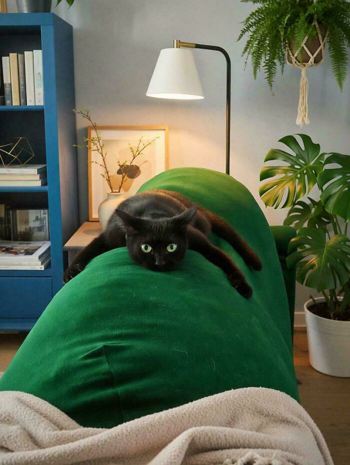 A black cat with green eyes lying awkwardly on a green beanbag, showcasing a funny pet moment indoors.