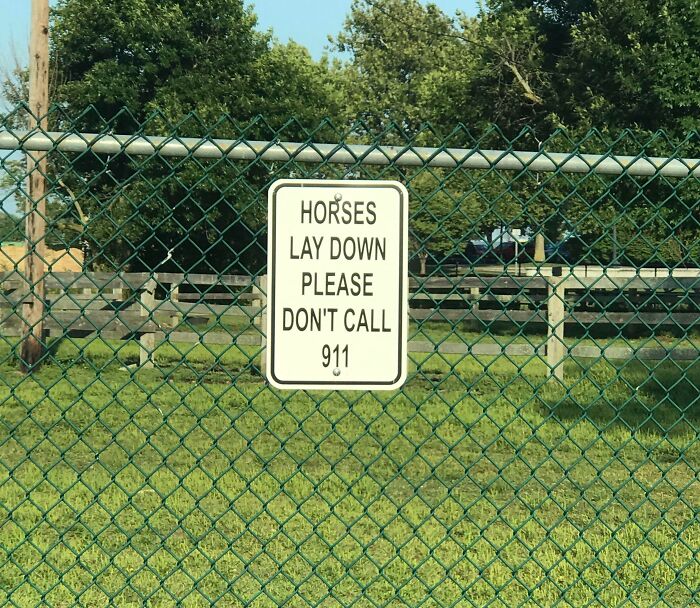 A sign on a green chain-link fence on a farm reads: Horses lay down. Please don't call 911. Confusing for city kids.