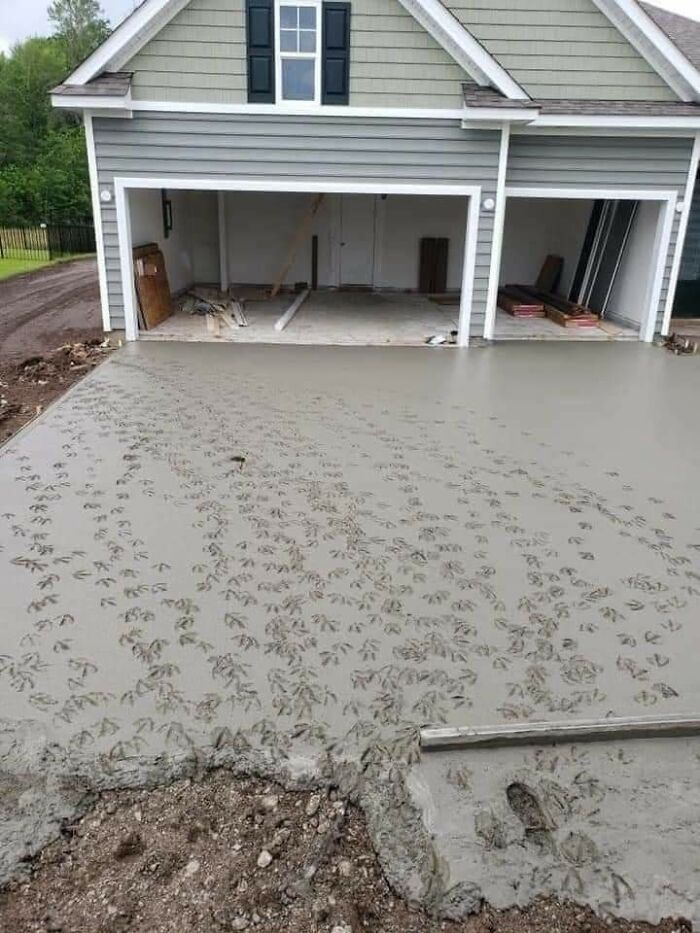Wet concrete driveway covered in bird footprints and a human shoe print, a home improvement fail.