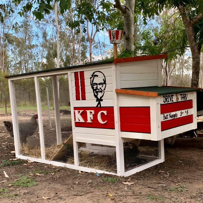 A chicken coop designed as a KFC drive-thru with a bucket on top. A funny farm image that won't make sense to city kids.