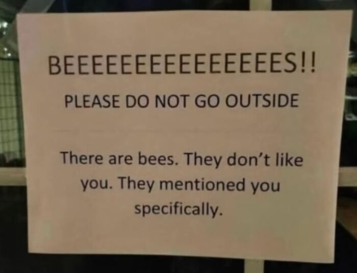 A sign warns, "BEEEEEEEEEEEEEEEEES!! PLEASE DO NOT GO OUTSIDE. There are bees. They don't like you. They mentioned you specifically." Oddly specific rules like this can make you wonder who inspired them.