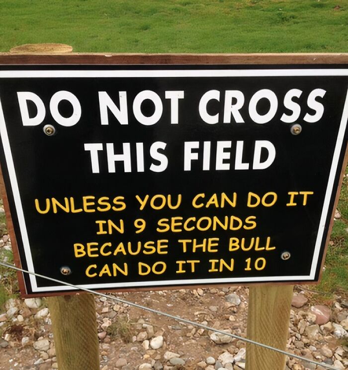 A humorous sign reads, DO NOT CROSS THIS FIELD unless you can do it in 9 seconds, because the bull can do it in 10. Underwear rules.