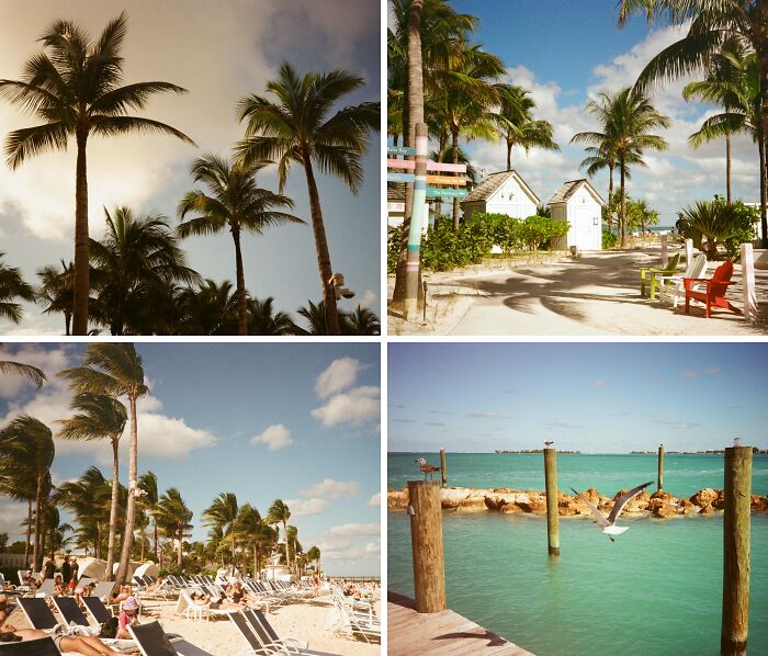 Four breathtaking travel photos of a sunny beach resort with palm trees, white sand, and turquoise water.