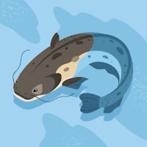 jeremyheafner avatar