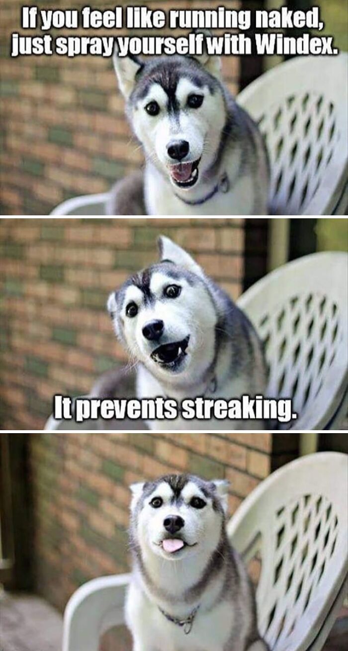 Funny-Naughty-USA-Memes