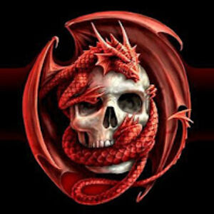 gemm113 avatar