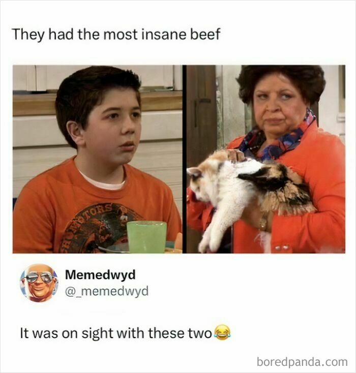 A humorous meme featuring a boy and a woman holding a cat, depicting an "insane beef." Entertaining posts and memes for pop-culture fans.