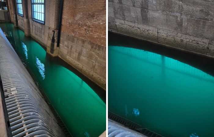 Two side-by-side images of an indoor water channel with greenish-blue water, creating an uncomfortable feeling.