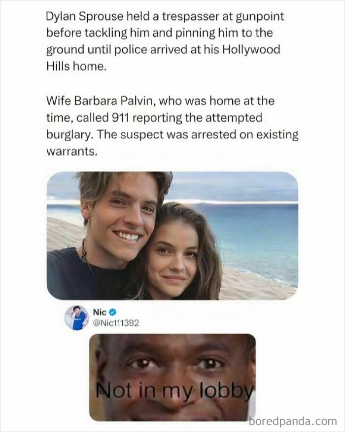 An entertaining post about Dylan Sprouse, Barbara Palvin, and a meme. A funny take on pop culture news.