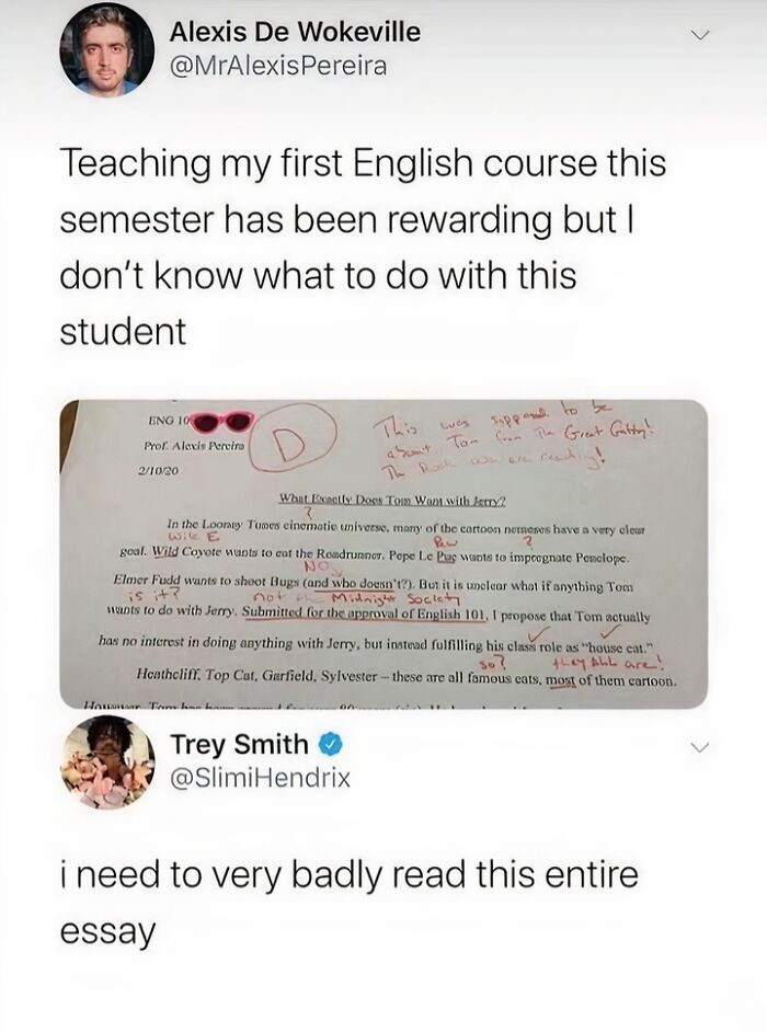 A tweet showing an English essay about Tom and Jerry instead of The Great Gatsby, earning a D. An entertaining post and meme about pop-culture.