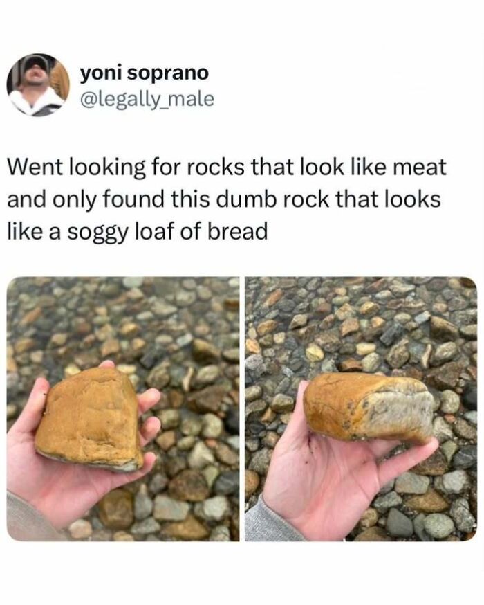 A funny tweet about finding a rock shaped like soggy bread, perfect for pop-culture memes and fighting boredom.