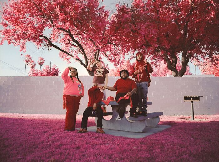 “The Palm, On Piru” By Ben Brooks