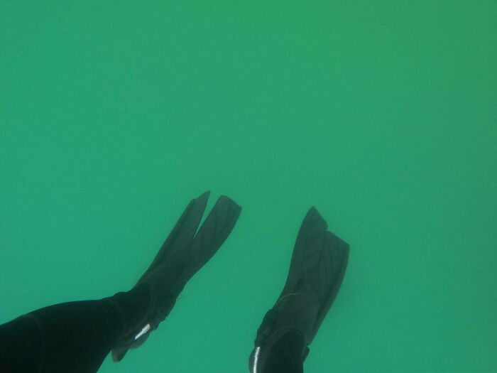 A diver's fins against an eerie, monochromatic green underwater backdrop, making you feel small. Uncomfortable water pics.