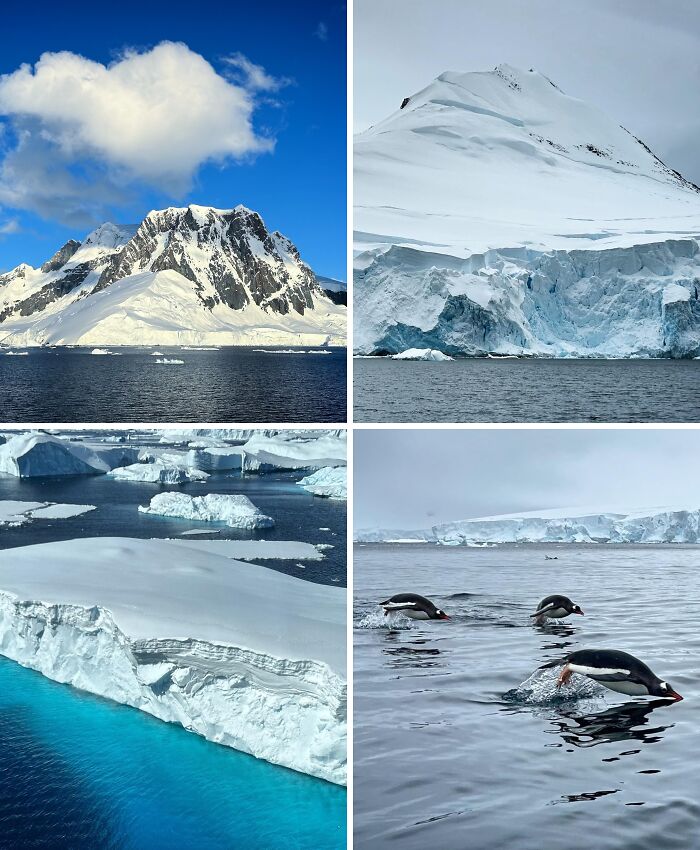 Breathtaking travel photos of Antarctica: vast glaciers, icy mountains, deep blue water, and penguins playing.