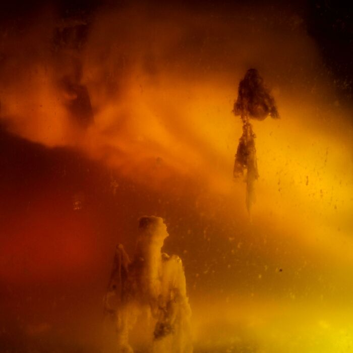 Unbelievable photos of amber-like textures and mysterious shapes, feeling like glimpses into another universe.