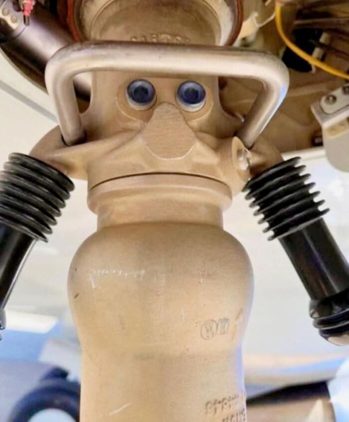 33 Times People Spotted Hidden Faces In Everyday Objects And Had To Share Them (New Pics)