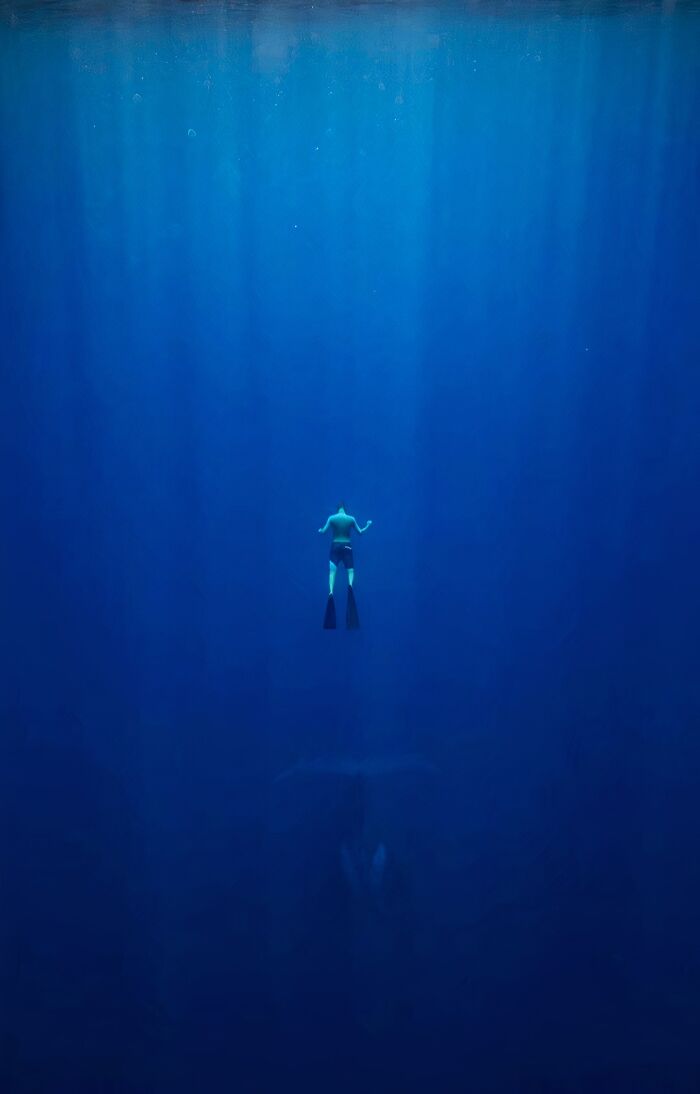 A lone swimmer in blue water with a large, dark shape below, creating uncomfortable water pics that make you feel small.