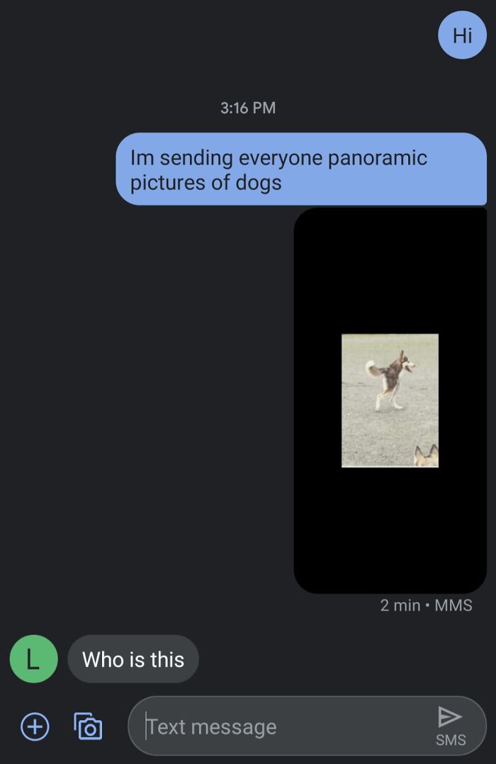 A funny text exchange of someone sending panoramic dog pictures, causing confusion. The image shows a stretched dog, sure to make you laugh.