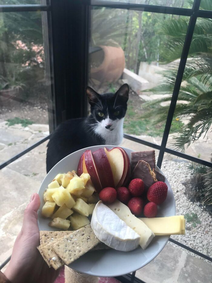 My Life Is Actually Blowing Up Girl Lunch