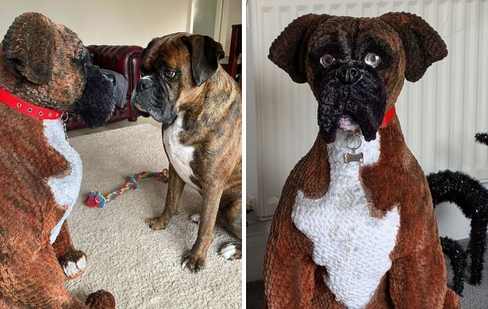 A real boxer dog looking at a life-sized crocheted boxer dog that someone crocheted and wowed the internet.