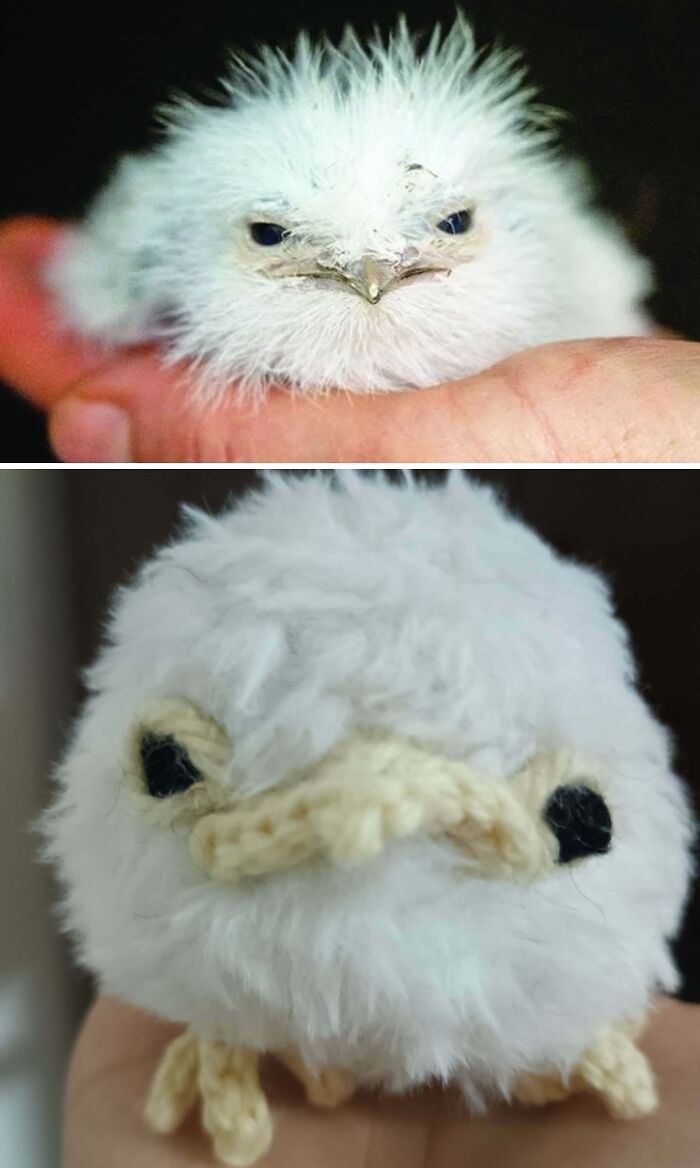 An image comparison of a fluffy white chick and an awesome crocheted replica of the chick, both held in a hand.