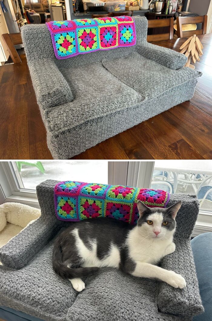 Crocheted awesome pet couch with a colorful granny square pillow. A grey and white cat lounges, wowing the internet.