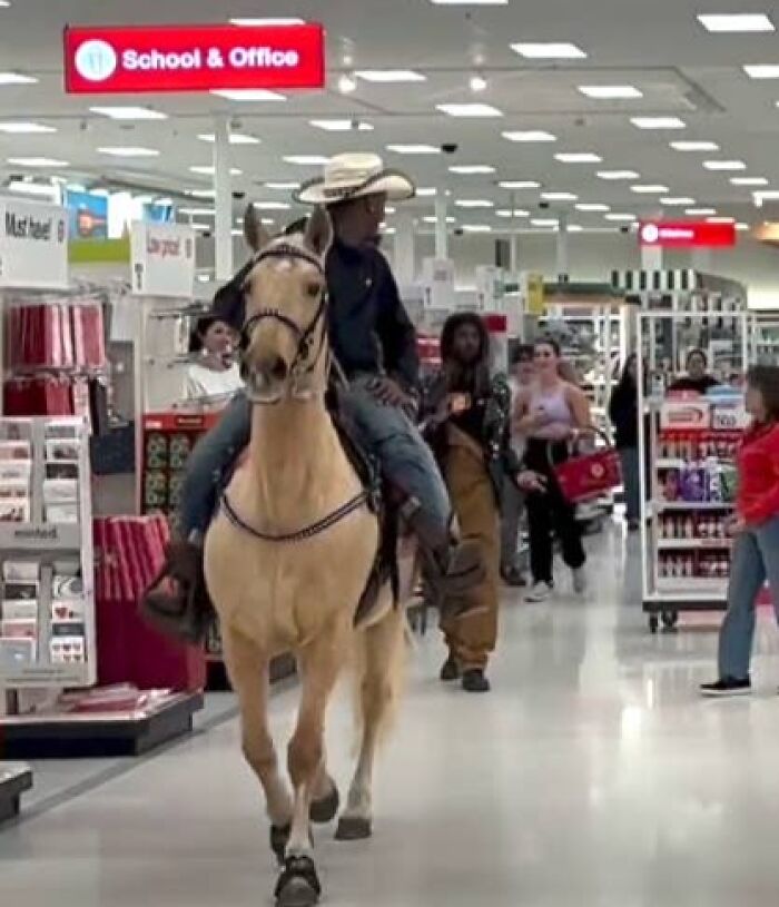Guy Brings Horse Into A Target