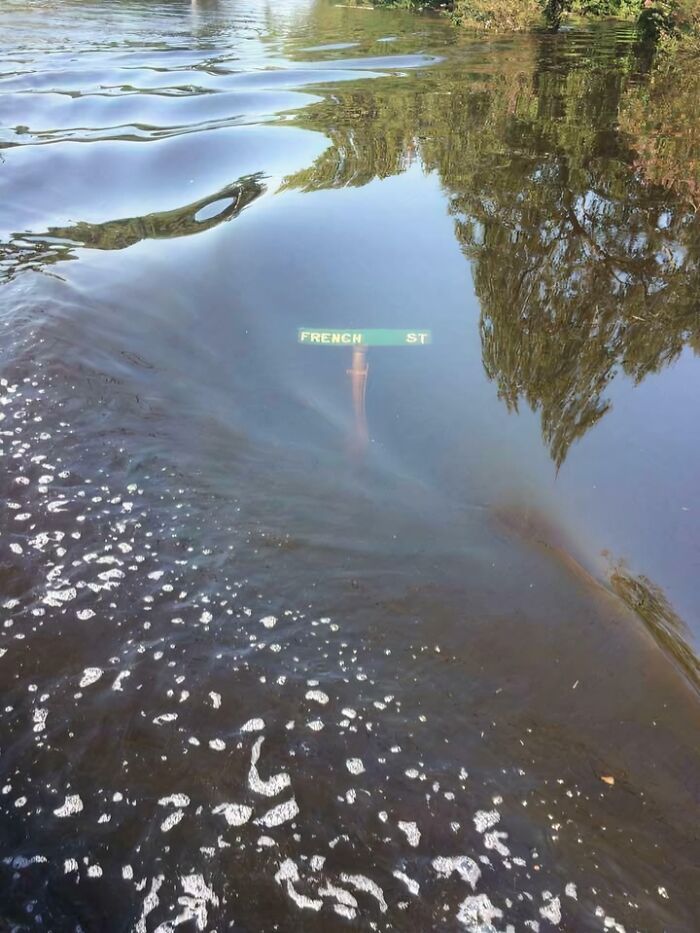 A street sign for "French St" submerged in dark, murky water, showcasing uncomfortable water pics that make you feel small.