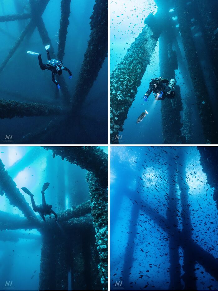 Uncomfortable water pics of divers exploring massive underwater structures, feeling small among schools of fish in deep blue water.