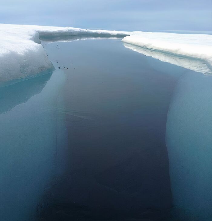 Uncomfortable water pics of a dark channel of open water between two white ice formations, making you feel small.