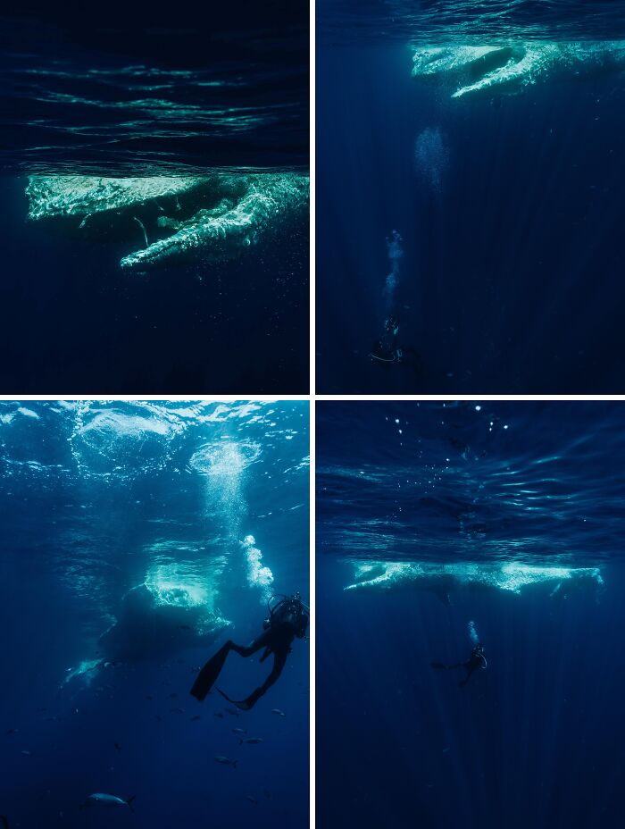Uncomfortable water pics showing multiple divers underwater, beneath a large boat, making them feel small.
