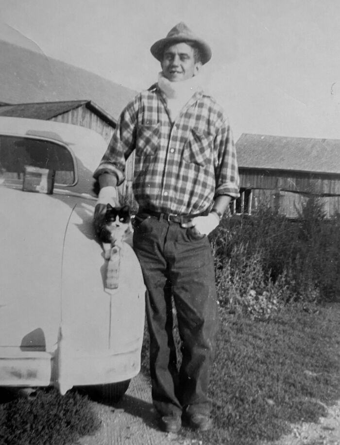 These Charming Vintage Cat Photos Are Taking Over Instagram—and People Can’t Get Enough (30 Pics)