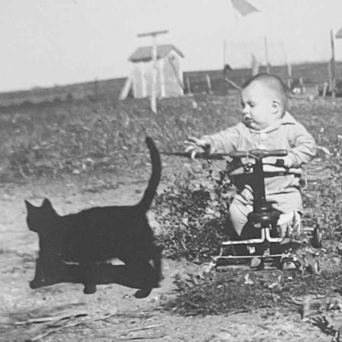These Charming Vintage Cat Photos Are Taking Over Instagram—and People Can’t Get Enough (30 Pics)