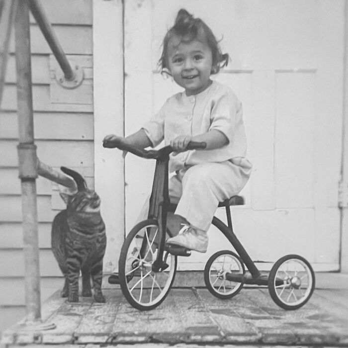 These Charming Vintage Cat Photos Are Taking Over Instagram—and People Can’t Get Enough (30 Pics)