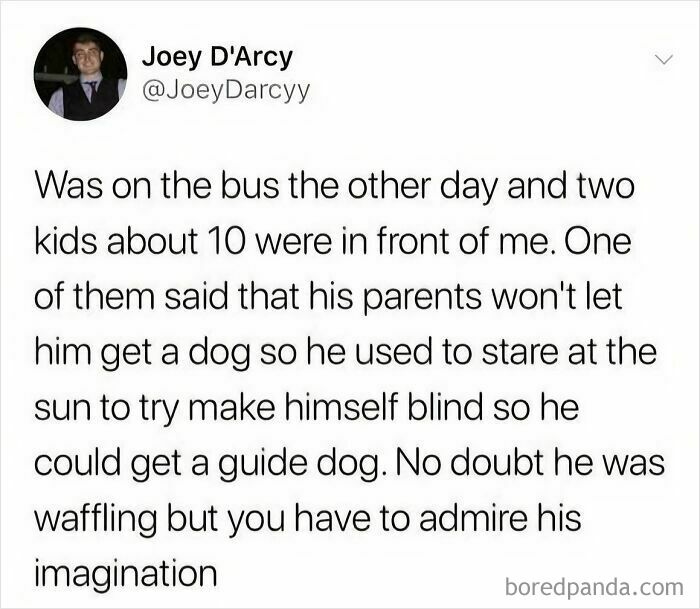 A tweet from Joey D'Arcy about a kid doing something dumb and funny by trying to blind himself for a guide dog.